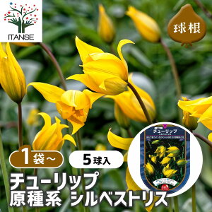 y}\N[|zzz ԋ `[bv n VxXgX y ԋ 5 z ̉ A nA K[fjO