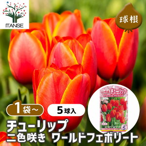 yz  `[bv F炫 [htF{[g y ԋ 5 z ԋ ̉ A nA K[fjO