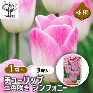 yz  `[bv F炫 VtHj[ y ԋ 3 z ԋ ̉ A nA K[fjO