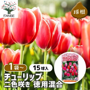 yz  F炫`[bv y ԋ 15 z ԋ ̉ A nA K[fjO