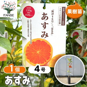 yz nCubgk̕c  y ʎ̕c 4^1 z k JLc ~J K[fjO ƒ؉ _ A |  A c ʎc ʎ ʕ ͔| A 