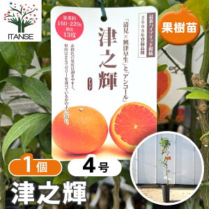 yz nCubgk̕c ÔVP y ʎ̕c 4^1 z k JLc ~J K[fjO ƒ؉ _ A |  A c ʎc ʎ ʕ ͔| A 