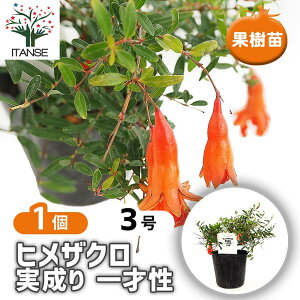 �y���������z �U�N���̕c�� �q���U�N�� ������ ��ː� �y �ʎ��̕c 3�� �z �U�N���c �U�N���̕c �U�N���̖� ������c ������̕c �Ξ� �ў� ��� �ȒP�͔| �K�[�f�j���O �ƒ�؉�