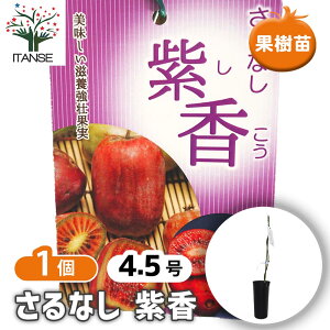 �y���������z ����Ȃ� ����(������) �y �ʎ��̕c�� 4.5���^1���� �z �K�[�f�j���O �ƒ�؉� �_�� ��A�� �M�t�g �v���[���g ���蕨 ���| ��� �A�� �c�� �ʎ��c �ʎ� �ʕ�