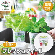 【送料無料】 栽培セット フレッシュフィール 【 ラディッシュ・レタス・ベビーリーフ・ミニトマト 】 簡…