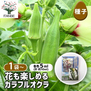 yz q Ԃy߂JtIN y e5ml^1ܔ z  seed ^l A̎ ͔| K[fjO K[f | ƒ؉ ۊ ۑ