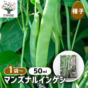 yz q }YiCQ y 50ml^1ܔ z  seed ^l A̎ ͔| K[fjO K[f | ƒ؉ ۊ ۑ