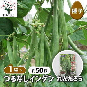 yz q ȂCQ 񂽂낤 y 50^1ܔ z  seed ^l A̎ ͔| K[fjO K[f | ƒ؉ ۊ ۑ