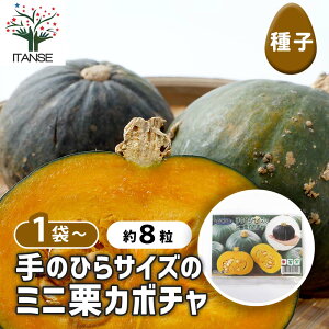 y}\N[|zzz q ̂ЂTCỸ~jIJ{` y 8^1ܔ z  seed ^l A̎ ͔| K[fjO K[f | ƒ؉ ۊ ۑ