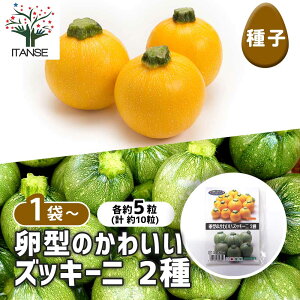 yz q ^̂킢YbL[j y e5^1ܔ z  seed ^l A̎ ͔| K[fjO K[f | ƒ؉ ۊ ۑ