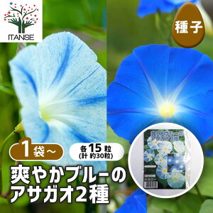 yz q u₩u[̃ATKI y e15^1ܔ z  seed ^l A̎ ͔| K[fjO K[f | ƒ؉ ۊ ۑ