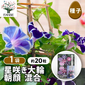 yz q 炫֍ y 20^1ܔ z  seed ^l A̎ ͔| K[fjO K[f | ƒ؉ ۊ ۑ