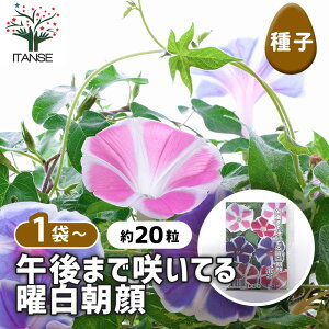 yz q ߌ܂ō炢Ăj  y 20^1ܔ z  seed ^l A̎ ͔| K[fjO K[f | ƒ؉ ۊ ۑ