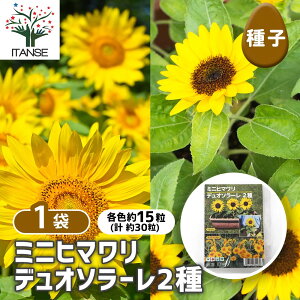 yz q ~jq} fI\[ y e15^1ܔ z  seed ^l A̎ ͔| K[fjO K[f | ƒ؉ ۊ ۑ