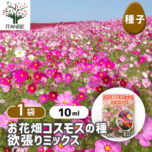 yz q Ԕ RXX̃^l~~bNX y 10ml^1ܔ z  seed ^l A̎ ͔| K[fjO K[f | ƒ؉ ۊ ۑ