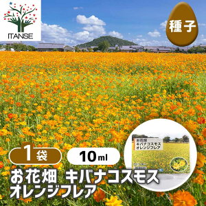 yz q Ԕ LoiRXX IWtA y 10ml^1ܔ z  seed ^l A̎ ͔| K[fjO K[f | ƒ؉ ۊ ۑ