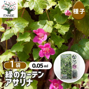 yz q ΂̃J[e ATi y 0.05ml^1ܔ z  seed ^l A̎ ͔| K[fjO K[f | ƒ؉ ۊ ۑ