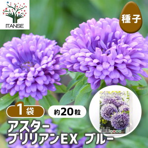 yz q AX^[ uAEX u[ y 20^1ܔ z  seed ^l A̎ ͔| K[fjO K[f | ƒ؉ ۊ ۑ