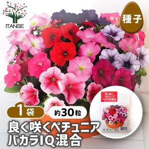 yz q ǂ炭y`jA oJIQ y 30^1ܔ z  seed ^l A̎ ͔| K[fjO K[f | ƒ؉ ۊ ۑ