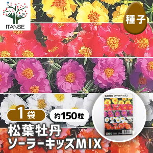 ySSԑSi10OFFz q tO \[[LbYMIX y 150^1ܔ z  seed ^l A̎ ͔| K[fjO K[f | ƒ؉ ۊ ۑ