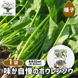 【送料無料】 種子 味が自慢のホウレンソウ 【 各約10ml／1袋売り 】 種 seed タネ 植物の種 栽培 ガーデニング ガーデン 園芸 家庭菜園 保管 保存