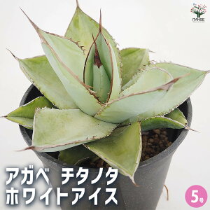 yzAKx zCgACX y A 5^1 z rO ItBX  CeA ^  IV Ă₷ j j