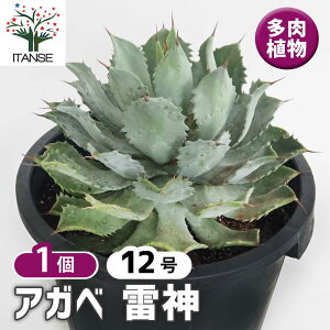 yzAKx _ y A 12^1 z rO ItBX  CeA ^  IV Ă₷ j j