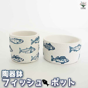yz tBbV|bg y 픫 z  L fish pot |bg  IV CeA A  x_ ͔| ȒP v[g Mtg a LO 蕨