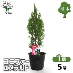 yz Rjt@[ Gh y  5^1 z  jt NX}Xc[ɂANX}X[XƂĂgp܂