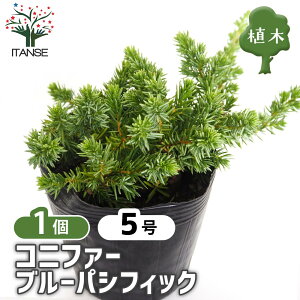 yz Rjt@[ u[pVtBbN y  5^1 z  jt NX}Xc[ɂANX}X[XƂĂgp܂