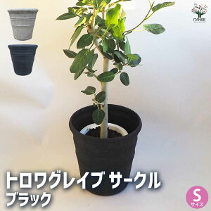 yz Jo[  gOCuT[NSubN y Jo[ ^1 z  fUC CeA i u _ CeA  lC v[g Mtg