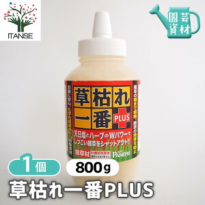 yz ͂PLUS 800g y  ^1 z     h~ ΍ ͂  O A ͂ ͗t