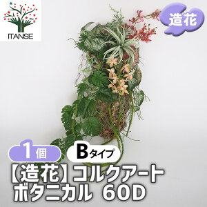 yz  RNA[g{^jJ60D y  B^Cv^1 z tFCNt[ tFCNO[ CeA CeAO[  A[eBtBVt[ v[