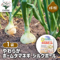 【送料無料】 やわらかホームタマネギ シルクボール 【 野菜の苗 約15球／1個売り 】 タマネギ 玉葱 たま…