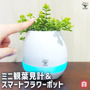 y}\ԁ|Cg5{z~jϗtvX}[gt[|bg FFzCg 琬ObY v炢 A\[g _ RpNg ϗtA Ԓd v^[ A K[fjO 