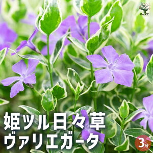 yzPcX ( qcj`j`\E ) @GK[^ ԕc 3|bg c ̕c Ԃ̕c OhJo[̕c PcX qcj`j`\E  [