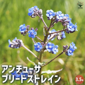 yzA`[T v[hXgC ԕc 3.5  [