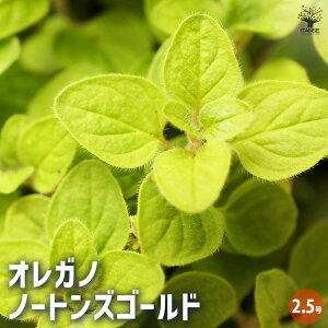 yzIKm m[gYS[h ԕc 2.5|bg ԃIKm KN̕ۂǂ̂ŁA؂ԂhCt[ɂg܂  [