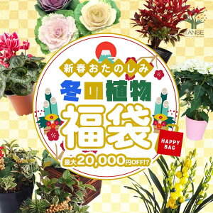 y}\N[|zzz~̂yݐA ܕ V[YIAő9_ȏ  NX}X 񂹐A g 叼 tO V[Y A uREW ԕc  