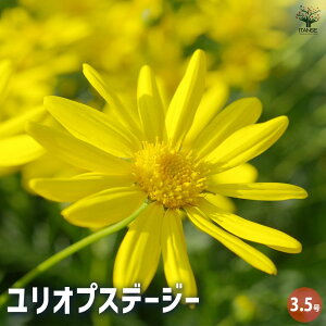 �y���������z�f�[�W�[ �����I�v�X�f�[�W�[ �Ԗؕc 3.5���|�b�g �ԕc �Ԃ̕c �� �c �K�[�f�j���O �������� ���[