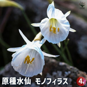 yz 퐅 mtBX ԕc 4  Ԃ̋   񂹐A K[fjO ӏ ͔| 뉀؉  [