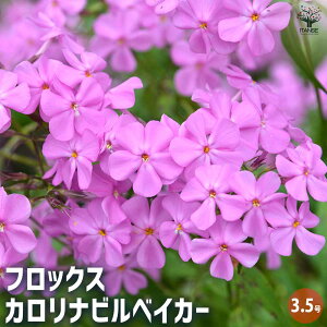 yztbNX JirxCJ[ y ԕc 3.5 z niVmu tbNX ϊN