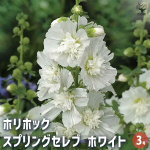 yzzzbN XvOZu zCg y ԕc 3 z ԕc Ԃ̕c   ؉ ؂ Ԗ   뉀 A Ă₷ 񂹐A K[fjO