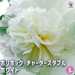 yzzzbN `[^[Y_u zCg y ԕc 3 z ԕc Ԃ̕c   ؉ ؂ Ԗ   뉀 A Ă₷ 񂹐A K[fjO