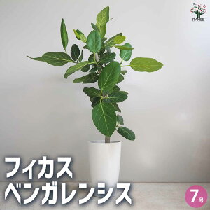 yztBJX xKVX ϗtA rOItBXTCY 7 1 rO ItBX  CeA ^  IV j  [