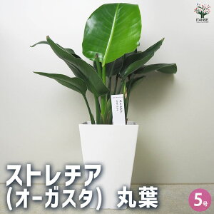 yzXg`A ( I[KX^ ) ۗt ϗtA 5 1 ϗt CeA CeAO[  [