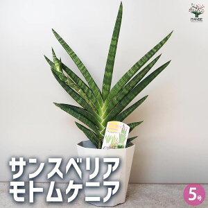 yzTXxA gPjA ϗtA 5 1 rO ItBX  CeA j Vzj zj j V  [