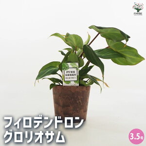 yztBfh OIT ϗtA 3.5 tBf tBfh SGfB rO ItBX  CeA ^  [