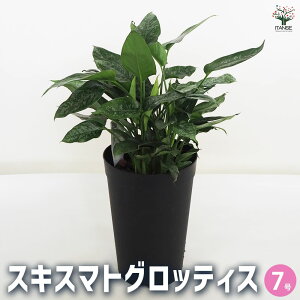 yzϗtA XLX}gObeBX ϗtA 7 1 rO ItBX  CeA ^  S Ă₷ K[fjO j j Vzj zj