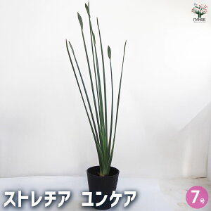 yzXg`A PA ϗtA 7 1 ϗt CeA CeAO[  [